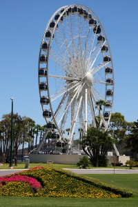 Observation wheel in Perth